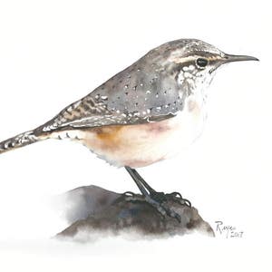 Rock Wren / Bird Watercolor Art / Limited Edition Double-matted GICLEE PRINT