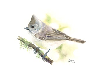 Oak Titmouse / Bird Gouache Art / Limited Edition Double-matted GICLEE PRINT