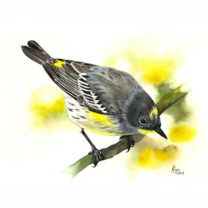 Yellow-rumped Warbler / Bird Watercolor Art / Limited Edition Double-matted GICLEE PRINT