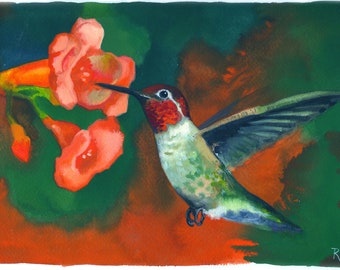 Anna's kolibrie / aquarel vogelkunst / Limited Edition dubbelgematteerde GICLEE PRINT