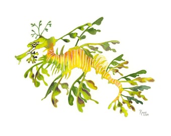 Seedrache / Fisch Aquarell Kunst / Limitierte Auflage, doppelt mattierter GICLEE PRINT / Gemälde Titel ""Aussie Dragon""