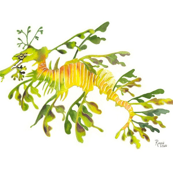 Leafy Sea Dragon / Fish Watercolor Art / Limited Edition Double-matted GICLEE PRINT / Painting titled "Aussie Dragon"