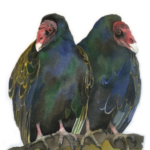 Turkey Vultures / Bird Watercolor Art / Limited Edition Double-matted GICLEE PRINT / Painting titled "Double Trouble"