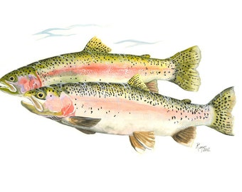 Steelhead Trout / Fish Watercolor Art / Limited Edition Double-matted GICLEE PRINT/ Painting titled "Steelhead Cruising"