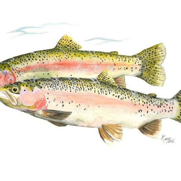 Steelhead Forel / Fish Watercolor Art / Limited Edition Double-matted GICLEE PRINT / Schilderij getiteld "Steelhead Cruising"