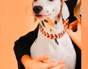 Handmade Colorful Braided Dog Collar: Adjustable Polyester Blend