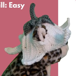 Crochet Hat Pattern, Crochet Hat Pattern, Cat Crochet Pattern, Dog Hat Pattern, Pattern for Pet, Flower Hat Pattern Crochet
