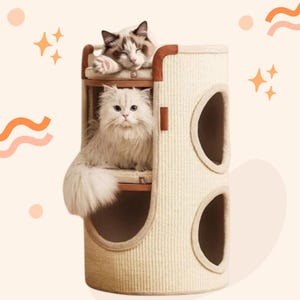 以下が含まれることがあります： 複数のレベルと円形の開口部を備えたベージュ色のキャットツリー。2匹の猫がキャットツリーの中にいて、1匹は最上段で休んでおり、もう1匹は下の段に座っています。キャットツリーは茶色のトリムとテクスチャード加工された表面を持っています。