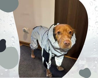 Waterproof Reflective Dog Raincoat: High Neck, Adjustable Fit