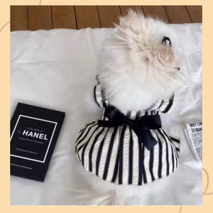 Pinstripe Ruffle Dog Dress: Summer Pet Clothes