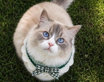 Coleira de crochê para gatos: colar ajustável para animais de estimação com laço
