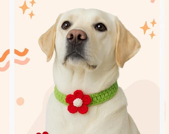 Crochet Pet Collar: Knitted Wool Cat/Dog Accessory