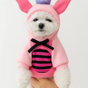 Op de afbeelding: Een kleine witte hond in een roze hoodie-kostuum met grote roze oren en een zwarte strik. Het kostuum heeft een zwart-roze gestreept ontwerp op de voorkant. Op het hoofd van de hond staat een kleine gele en paarse honingpot-hoed.