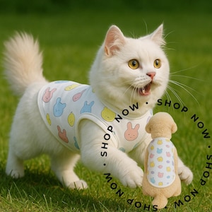 Rabbit Pajamas for Pet: Cozy Cat & Dog Homewear