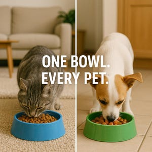 Puede incluir: Imagen dividida que muestra un gato atigrado gris y un perro blanco y marrón comiendo de sus respectivos cuencos de comida. El gato come de un cuenco azul y el perro de un cuenco verde. El texto "ONE BOWL. EVERY PET." está centrado en blanco.