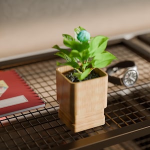 Puede incluir: Una pequeña maceta cuadrada de madera con una planta verde y una flor azul. La maceta está sobre una superficie de rejilla metálica, con un cuaderno rojo y un reloj de pulsera en el fondo. La planta tiene hojas de color verde brillante.