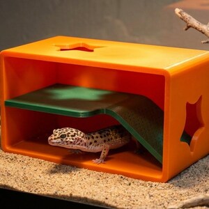 May include: An orange reptile hideout with star-shaped cutouts and a green ramp. A leopard gecko is inside the hideout, which is placed on a sandy surface. The hideout is a habitat for reptiles.