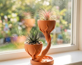 May include: A terracotta-colored planter stand featuring two bowl-shaped containers supported by a twisted, tree-like structure. The lower bowl holds a green and white striped succulent, while the upper bowl contains a spiky, pink-tipped air plant.