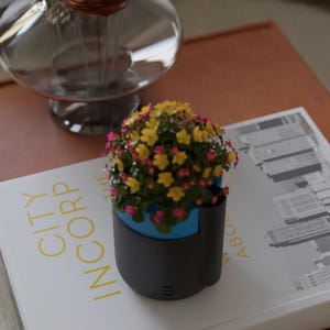 May include: A small, modern planter with a vibrant display of yellow and pink flowers. The planter is black with a blue interior and sits on a white book with the text "CITY INCORP". A glass vase is in the background.