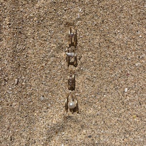 May include: Four gold-coloured rings with pearl or stone accents are arranged vertically on a sandy surface. The rings have a cage-like design, with the pearls or stones held in the centre. The sand is light brown.