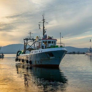 May include: A blue and white fishing boat with a large net on the deck, docked in a harbor at sunrise.