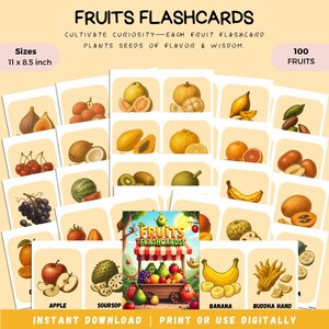 103 Fruits Flash Cards Identification Montessori Education Homeschool Resources Fruit Study Toddler Flash Cards Printable Classroom Deco