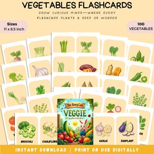 100 Vegetables Flash Cards Identification Montessori Education Homeschool Resources Vege Study Toddler Flash Cards Printable Classroom Deco