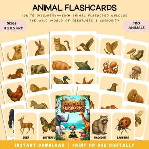 108 Type of Animals Flash Cards Identification Montessori Education Homeschool Resources Study Toddler Flash Cards Printable Classroom Deco