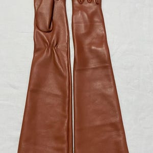 May include: A pair of long, brown leather gloves. The gloves are a warm, reddish-brown color and extend well past the wrist. The leather appears smooth and supple, with visible seams and stitching.