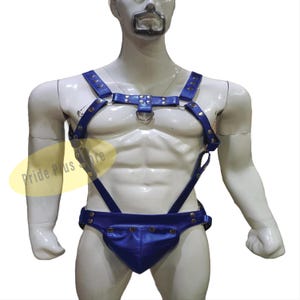 May include: Blue leather harness with silver hardware and a pouch. The harness has adjustable straps and a D-ring in the front.