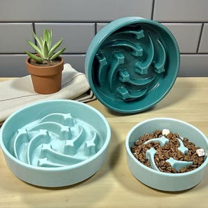 Könnte beinhalten: Drei Keramik-Futternäpfe für Haustiere in Türkis- und Aquatönen. Die Schalen haben ein sternförmiges Design in der Mitte, das das Fressen verlangsamen soll. Eine Schale ist mit Tierfutter gefüllt. Eine kleine Topf-Sukkulente ist ebenfalls im Bild.