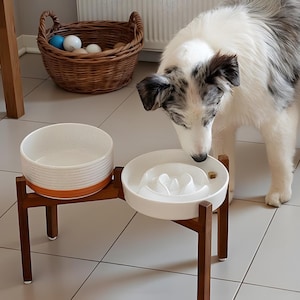 Ceramic Slow Feeder Double Bowl – Raised Pet Feeding Station