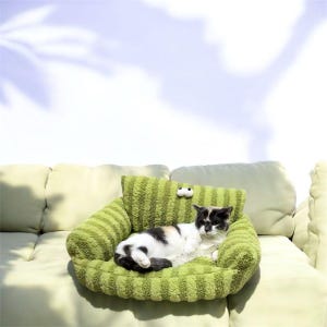 Peut inclure: Un lit pour animal de compagnie ray&eacute; vert avec une texture pelucheuse et un petit coussin avec des yeux globuleux. Un chat noir et blanc est allong&eacute; dans le lit.