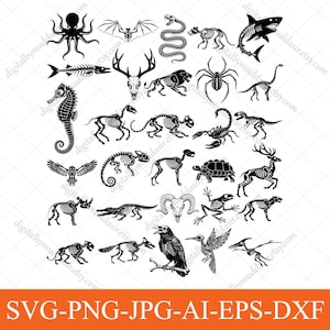 May include: Black and white illustrations of various animal skeletons, including a shark, snake, spider, and deer. The image also includes an octopus, bat, and seahorse. The bottom of the image has the text "SVG-PNG-JPG-AI-EPS-DXF".
