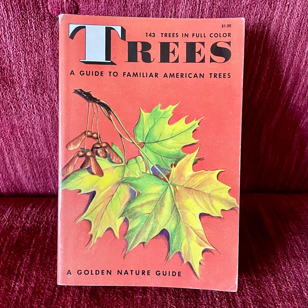 Vintage 1964 Golden Press “trees: A Guide to Familiar American Trees ...
