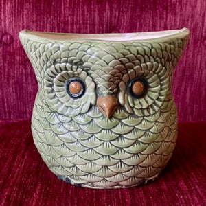 May include: A ceramic owl planter in shades of green, brown, and tan. The owl-shaped pot features detailed feather patterns, large round eyes, and a beak. The interior is a light pink color. The planter is designed to hold plants.