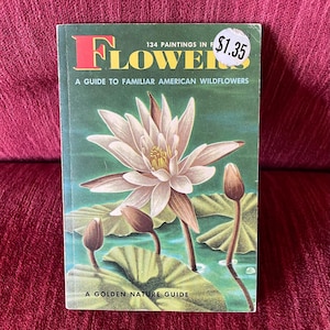 Vintage 1950 Golden Press “Flowers: A Guide to Familiar American Wildflowers” - A Golden Nature Guide - Flower Paintings - Identification