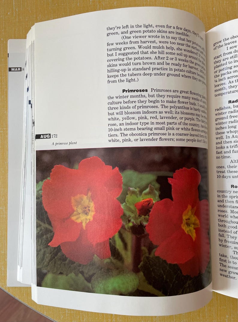 May include: An open book page featuring a photograph of two vibrant red primrose flowers with yellow centers and green leaves. The text on the page includes the heading Primroses and the caption A primrose plant, alongside paragraphs about gardening.