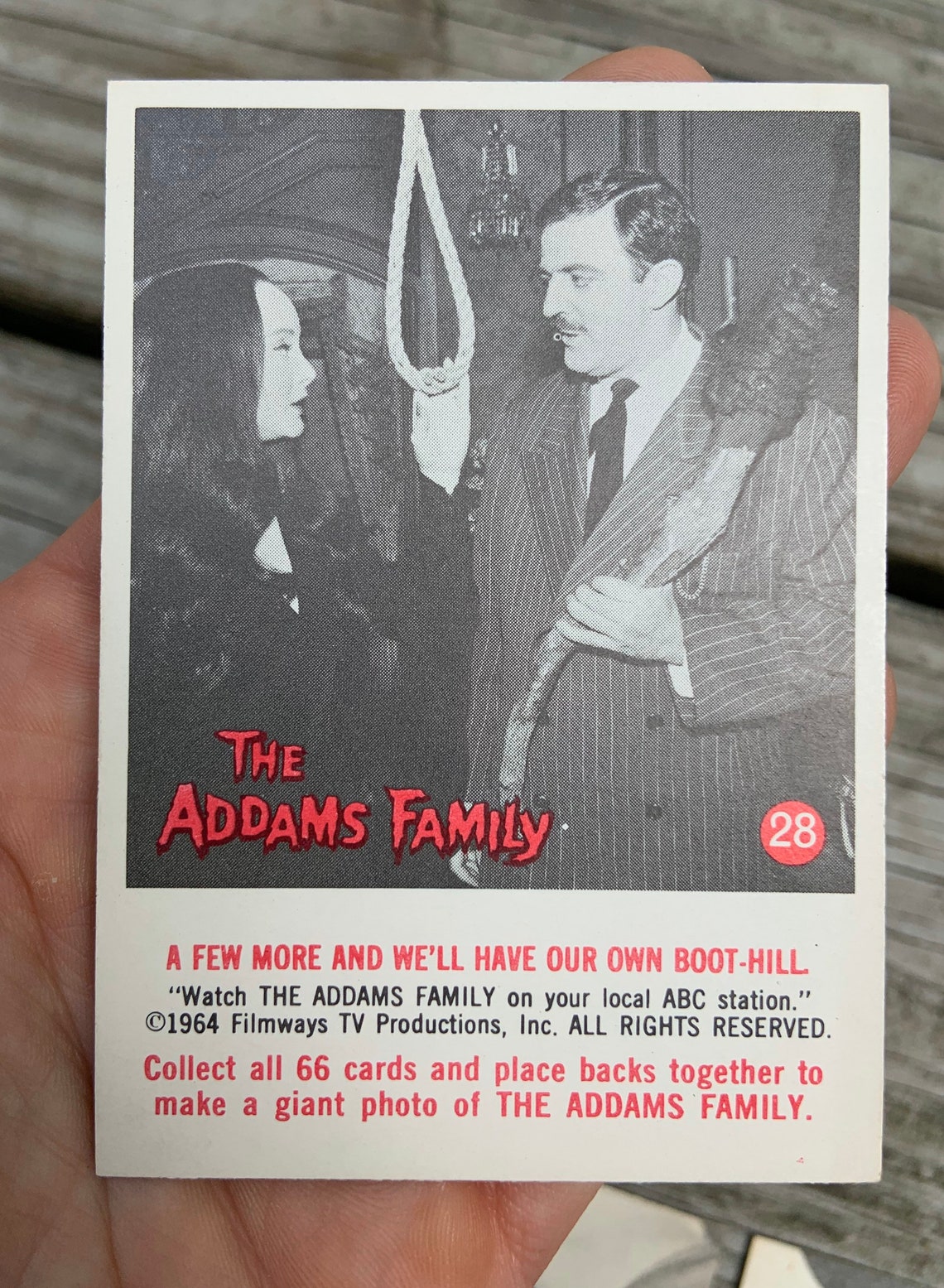 Vintage 1964 the Addams Family Filmways Trading Cards Lot of Etsy
