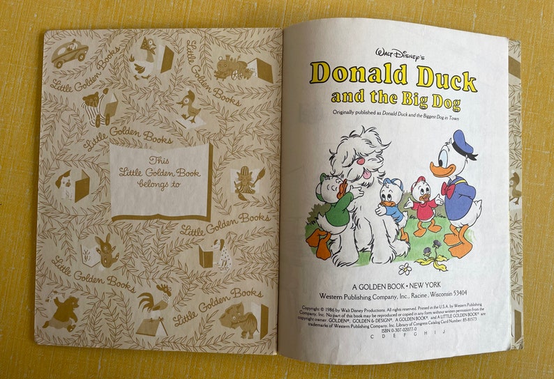 Vintage Little Golden Book donald Duck and the Big Dog - Etsy