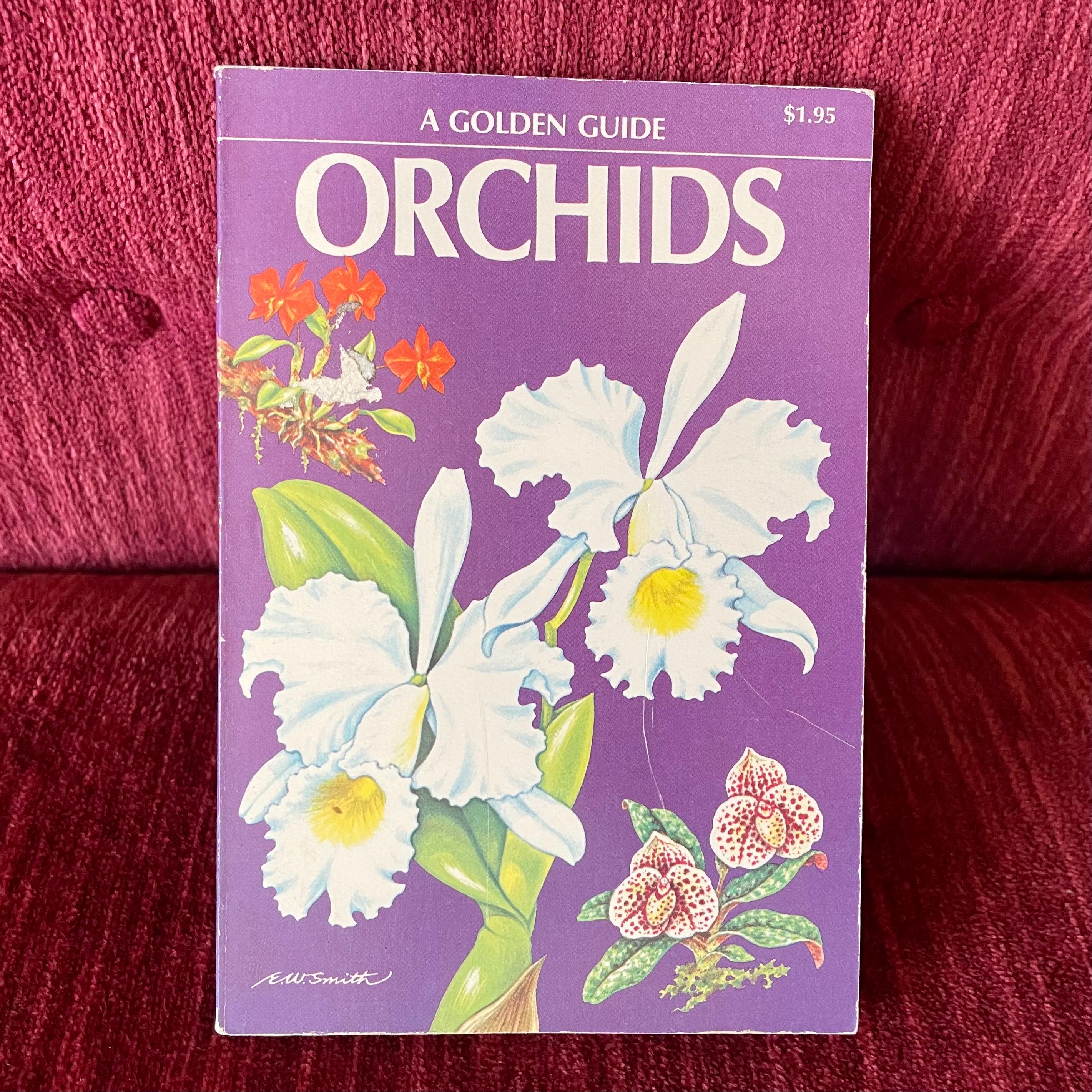 A GOLDEN GUIDE ORCHIDS Vintage 1970 Golden Press A Golden Guide \u201corchids\u201d - A Golden