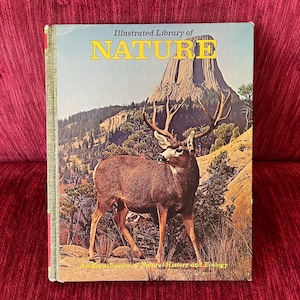 Vintage 1971 Illustrated Library of Nature Volume 2: Animal Traits - Animal World - Hardcover Vintage Book - Color Photos - Natural History