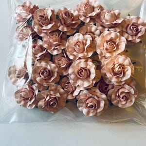 25 rose di carta / rosa chiaro, azzurro, azzurro verde, fiori di gelso per decorazione, matrimonio, scrapbooking, progetti artigianali