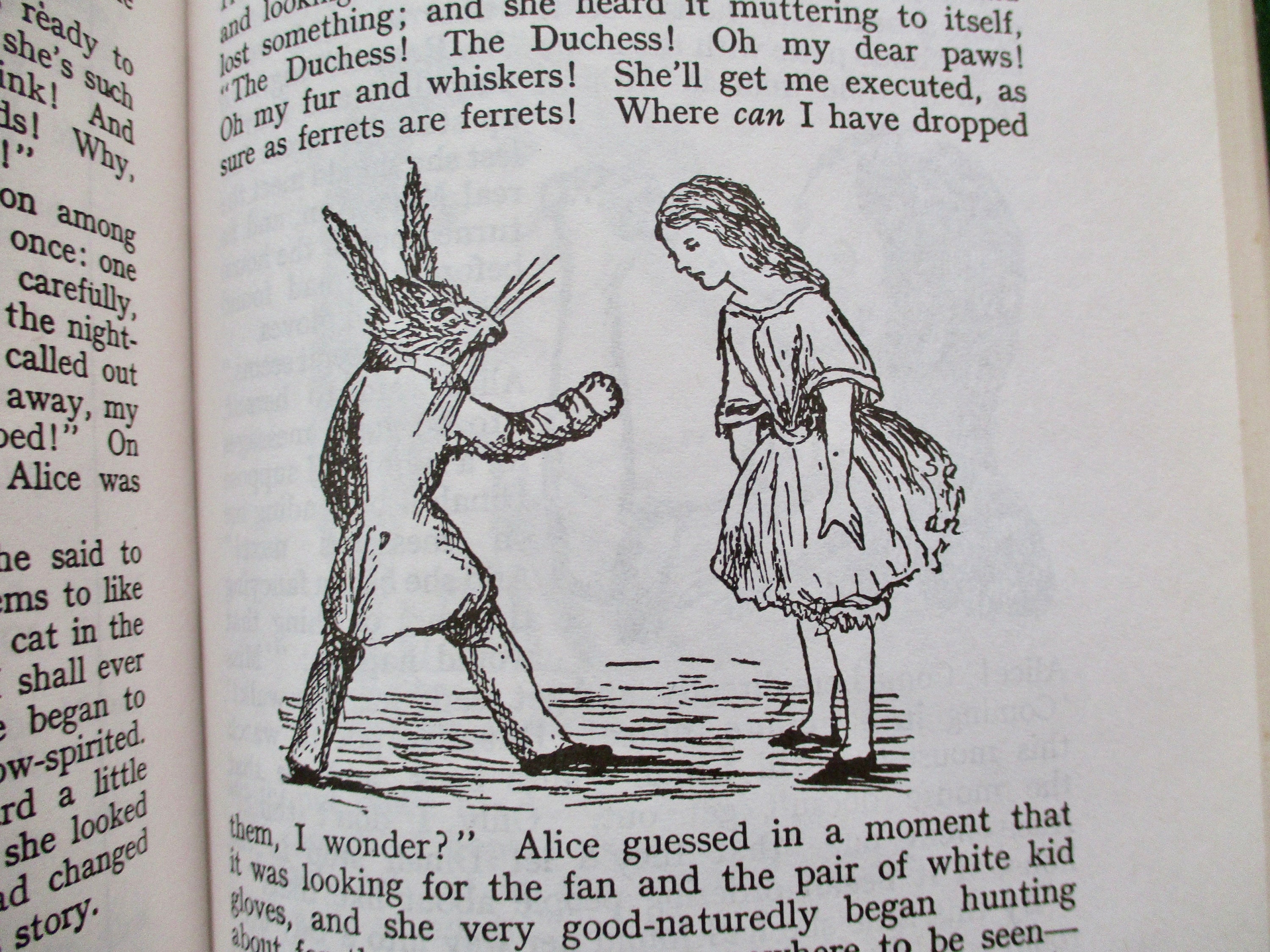 Vintage Alice in Wonderland Book: 1980s Lewis Carroll Edition - Etsy