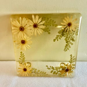 Puede incluir: Un posavasos cuadrado de resina transparente con flores de margarita blancas prensadas de centro oscuro y delicadas hojas de helecho verdes incrustadas. Los elementos botánicos están dispuestos alrededor del borde de la superficie brillante y transparente.