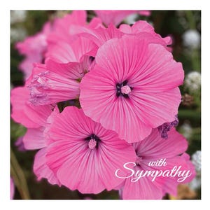 Sympathy Cards and Prints (code 18A)