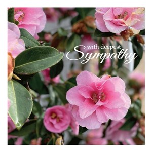 Sympathy Cards and Prints (code 7)
