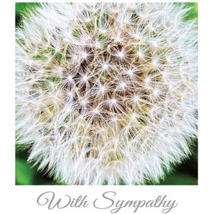 Sympathy Cards and Prints (code 11)