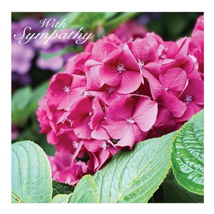 Sympathy Cards and Prints (code 20)