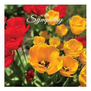 Sympathy Cards and Prints (code 3B)